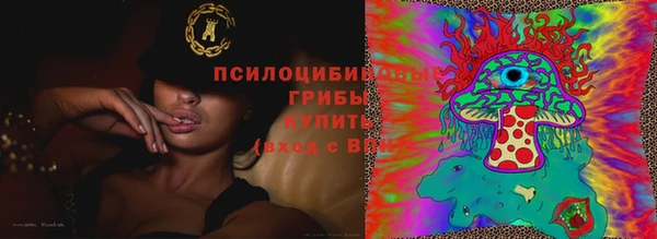 дмт Нефтегорск