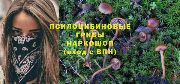 ECSTASY Нефтекумск